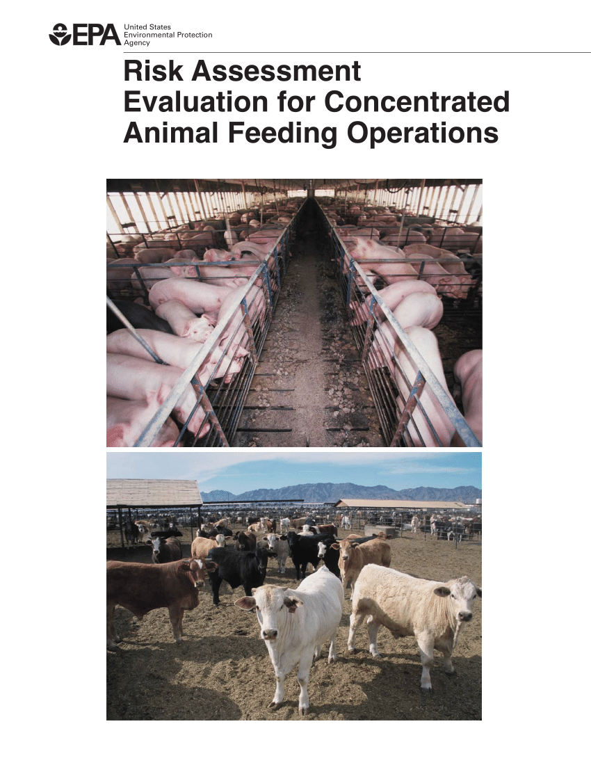 PDF) Risk Assessment Evaluation for Concentrated Animal Feeding Operations  United States Environmental Protection Agency