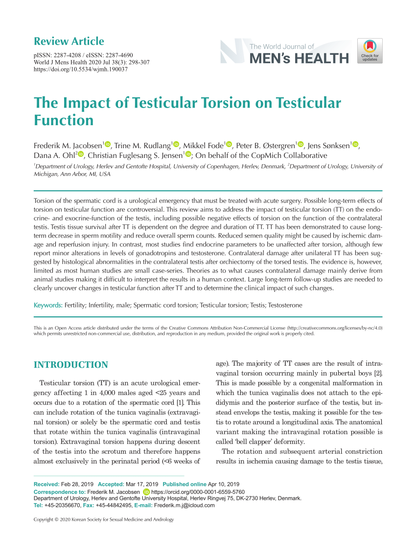 PDF The Impact of Testicular Torsion on Testicular Function