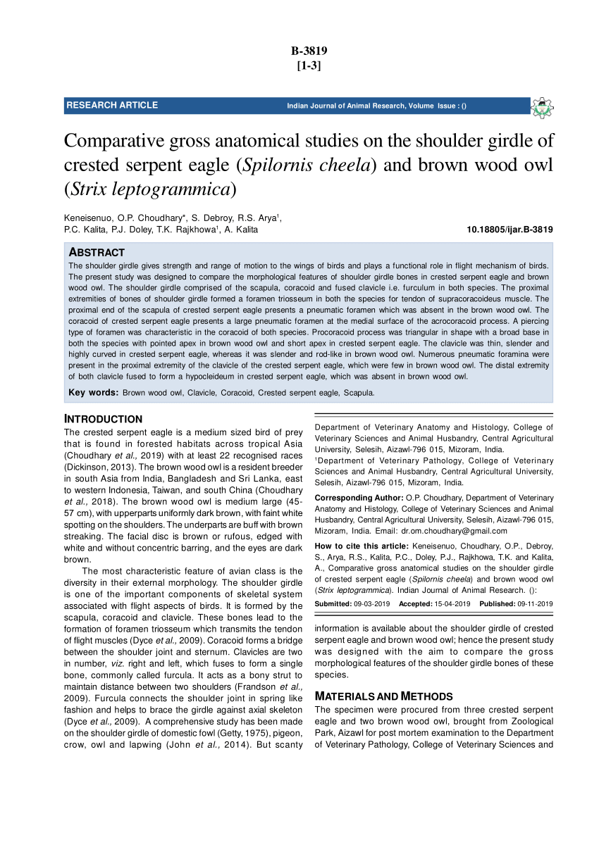 PDF) Comparative Gross Anatomical Studies on the Shoulder Girdle of Crested  Serpent Eagle (Spilornis cheela) and Brown Wood Owl (Strix leptogrammica)