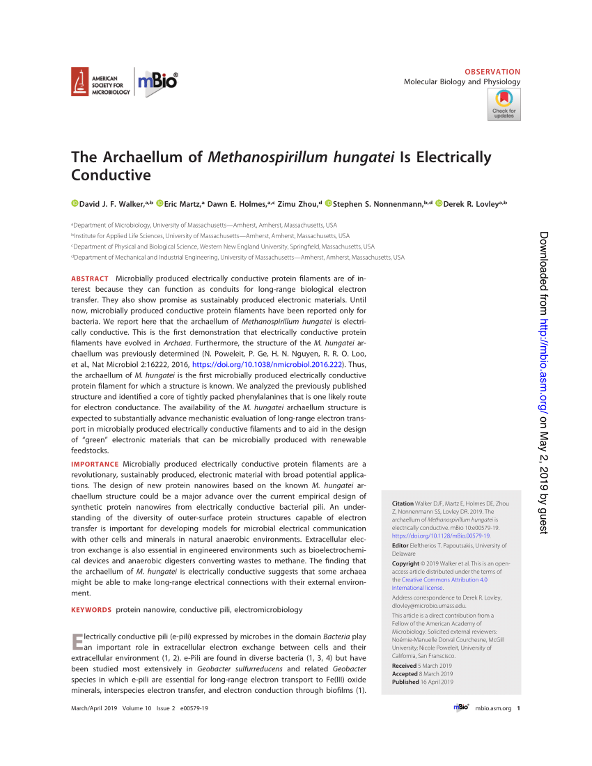 Pdf The Archaellum Of Methanospirillum Hungatei Is - 