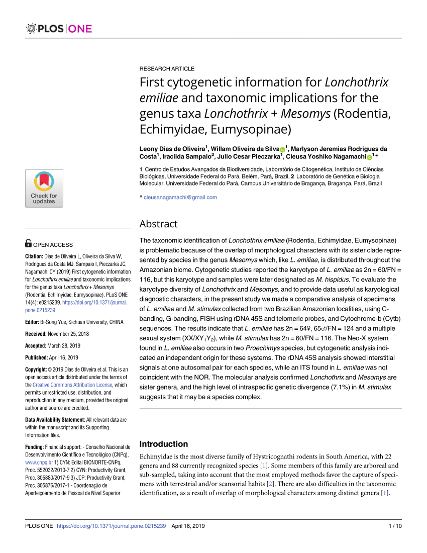 Pdf First Cytogenetic Information For Lonchothrix Emiliae And Taxonomic Implications For The Genus Taxa Lonchothrix Mesomys Rodentia Echimyidae Eumysopinae