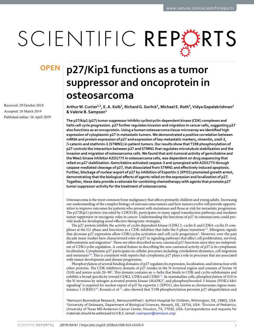 Pdf P27 Kip1 Functions As A Tumor Suppressor And Oncoprotein In Osteosarcoma