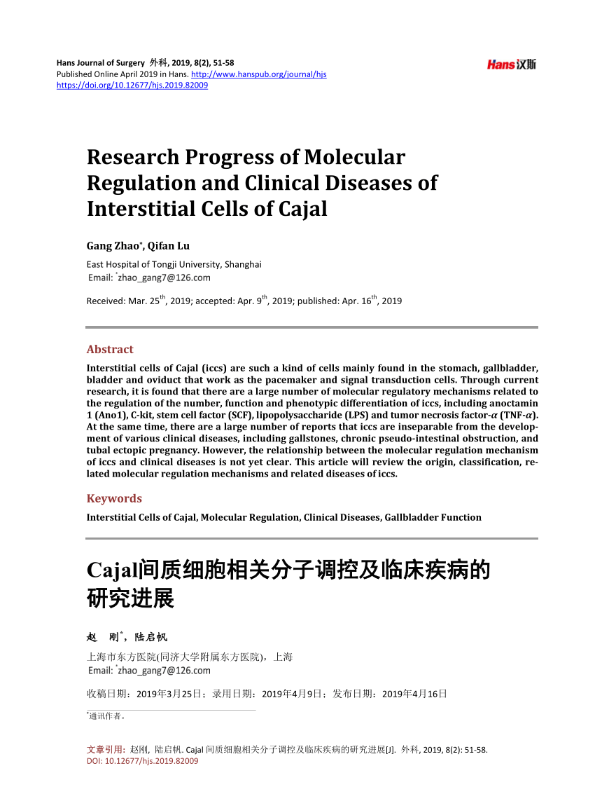 Pdf Research Progress Of Molecular Regulation And Clinical Diseases Of Interstitial Cells Of Cajal