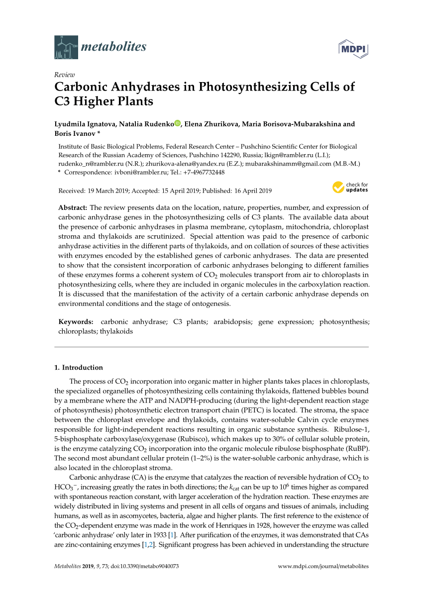 Pdf Carbonic Anhydrases In Photosynthesizing Cells Of C3 Higher Plants