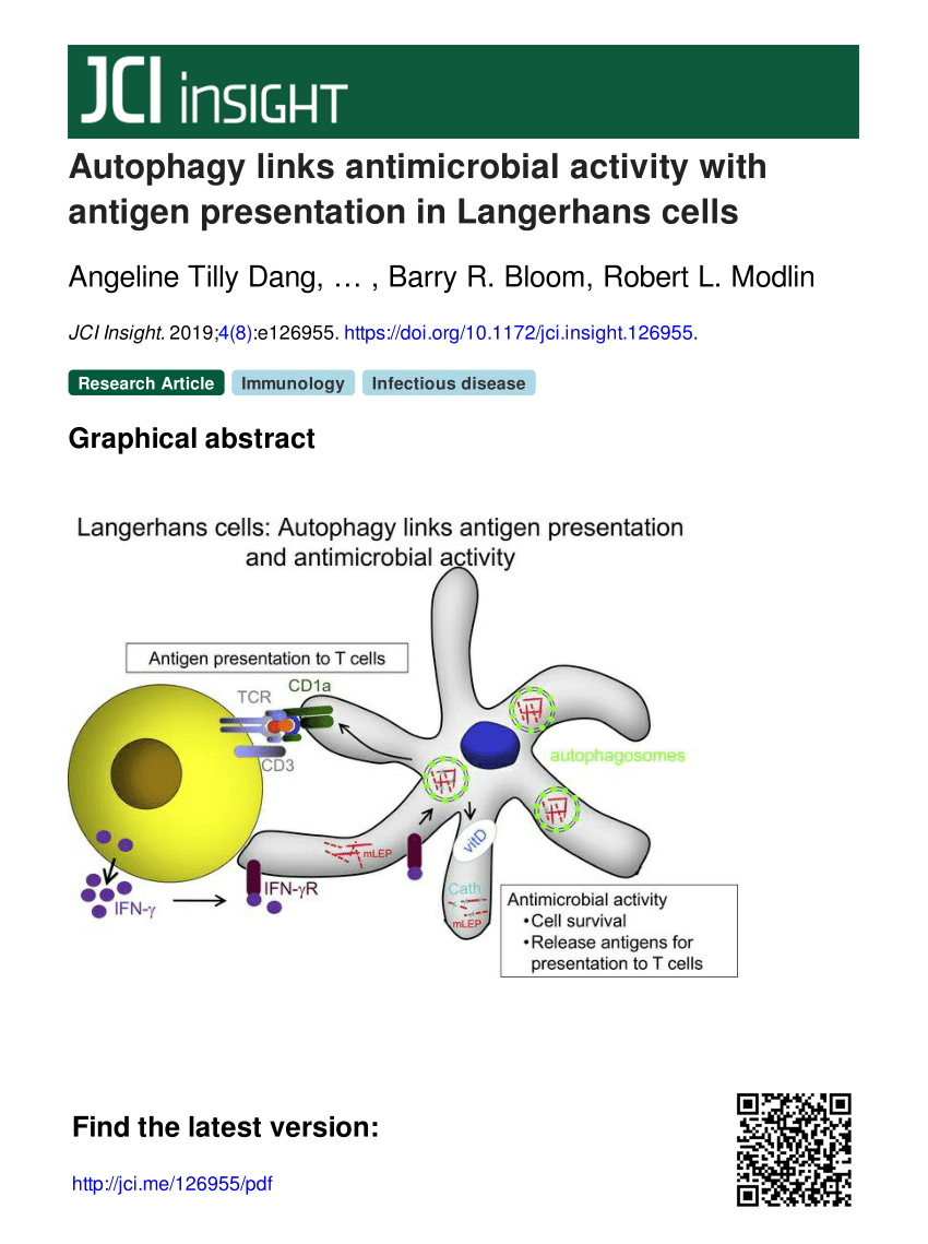 JCI - Staphylococcus aureus toxin suppresses antigen-specific T cell  responses