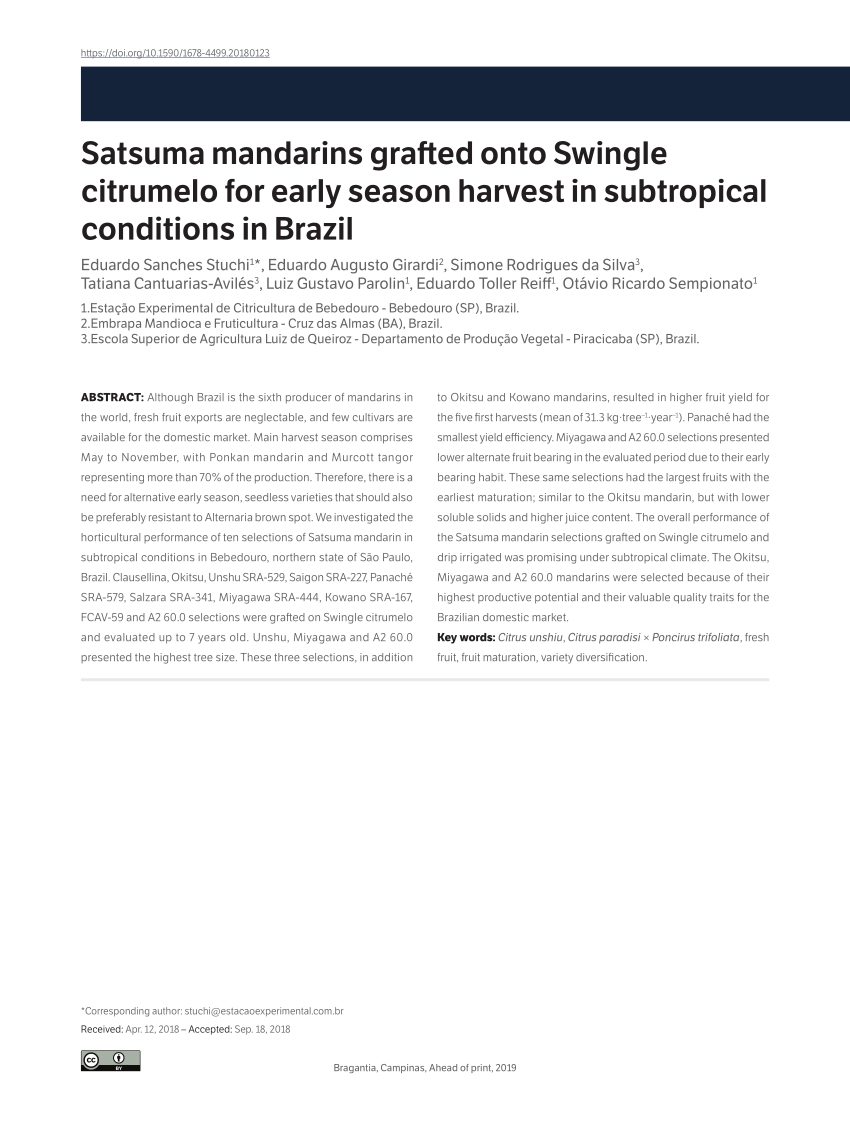 PDF) Satsuma mandarins grafted onto Swingle citrumelo for early