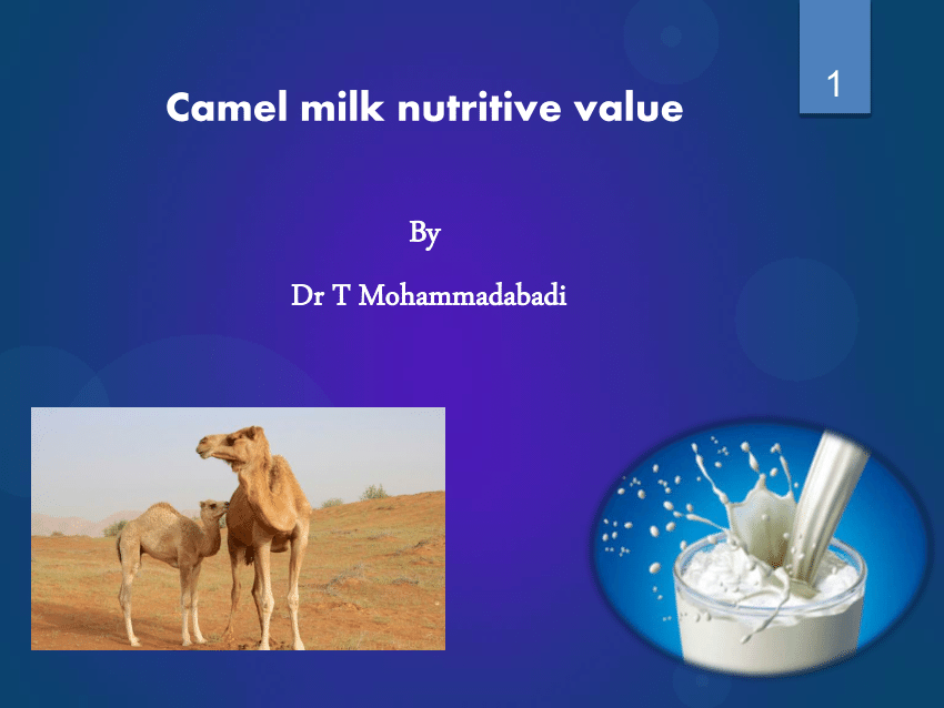 Pdf Camel Milk Nutritive Value
