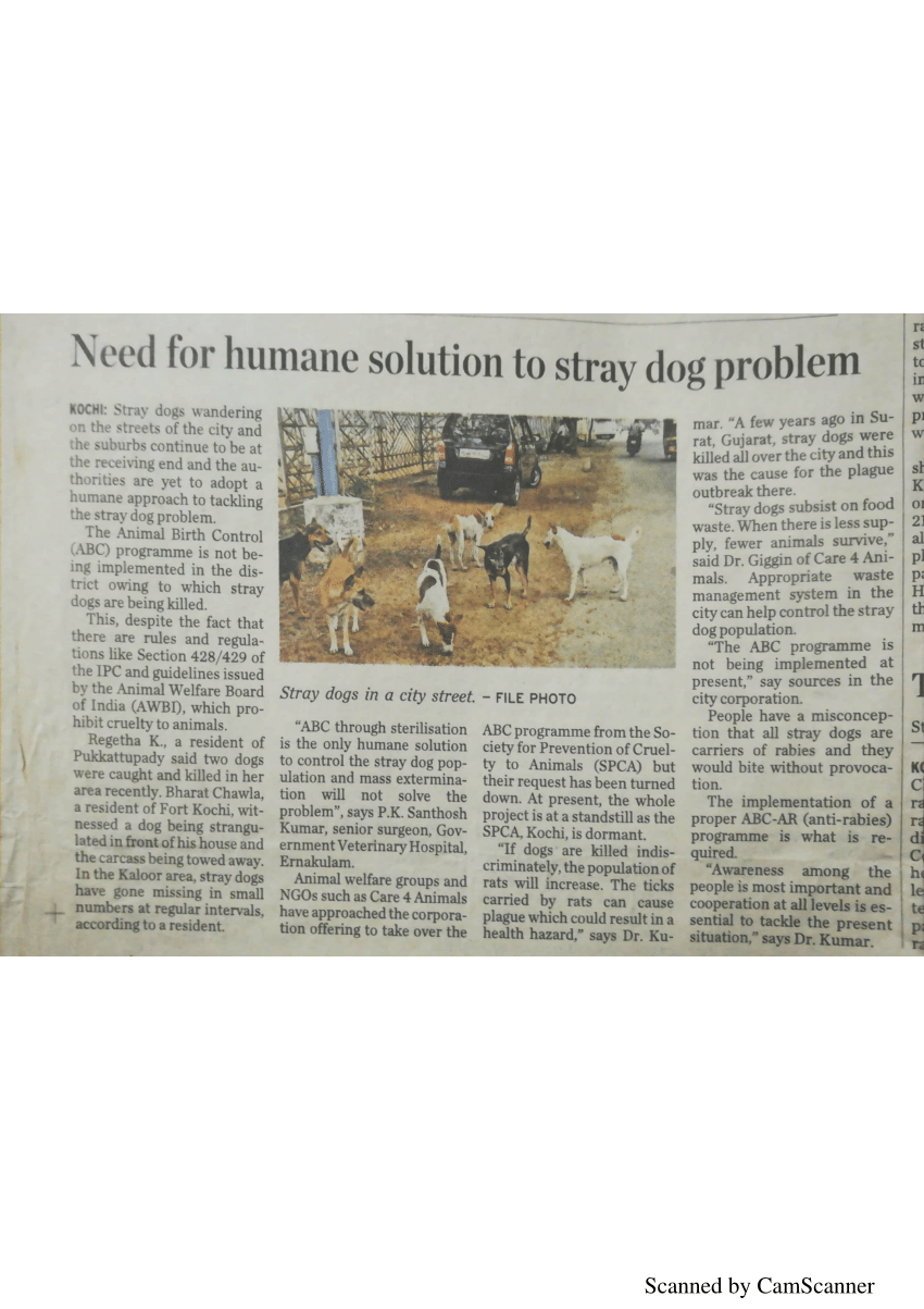 PDF) Newspaper clipping: Need for humane solution to stray dog problem