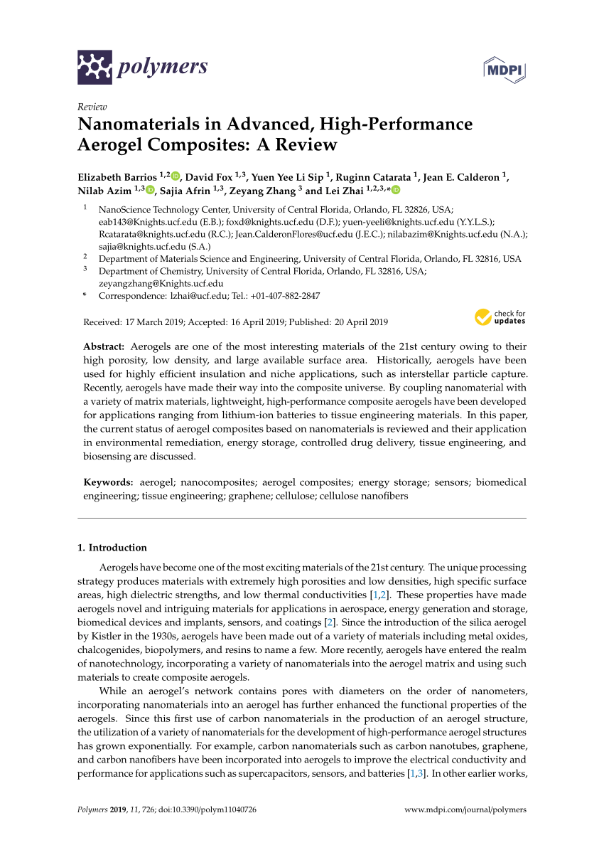 literature review nanomaterials