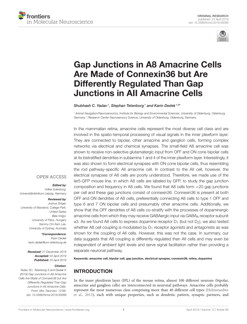 PDF) Gap Junctions in A8 Amacrine Cells Are Made of Connexin36 but ...