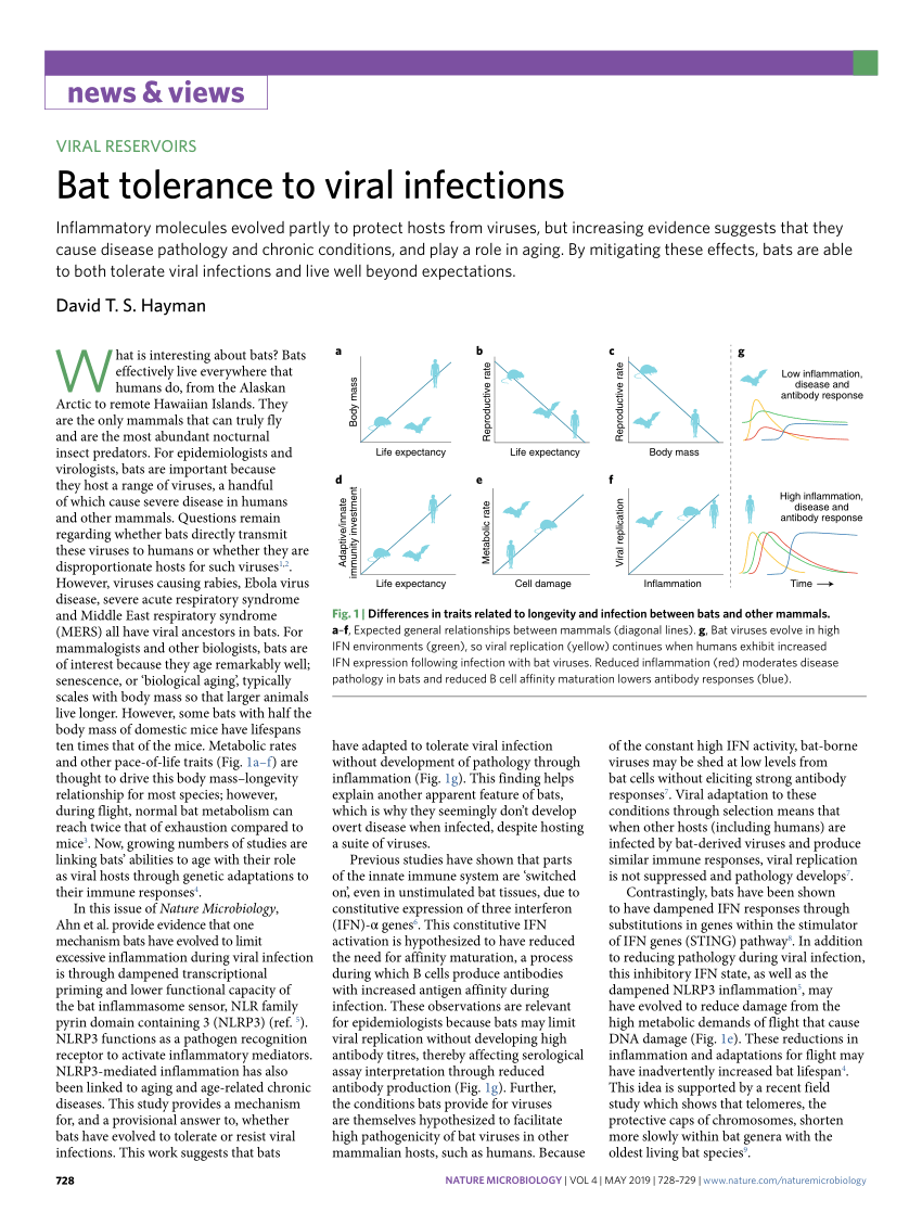 Bat tolerance to viral infections