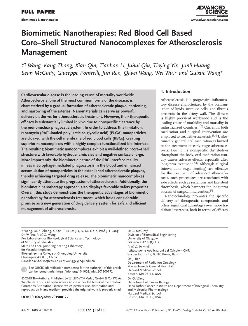 (PDF) Biomimetic Nanotherapies: Red Blood Cell Based Core–Shell 