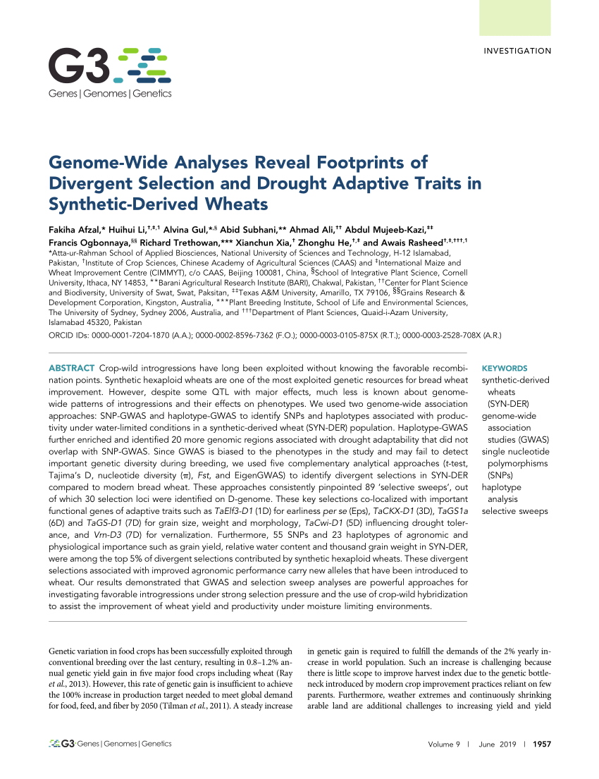 Pdf Genome Wide Analyses Reveal Footprints Of Divergent Selection And Drought Adaptive Traits In Synthetic Derived Wheats