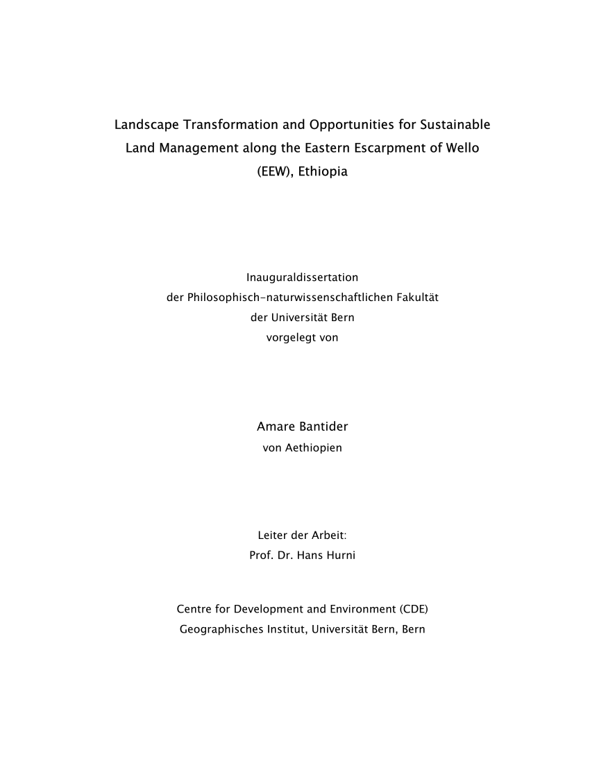 phd thesis 2007
