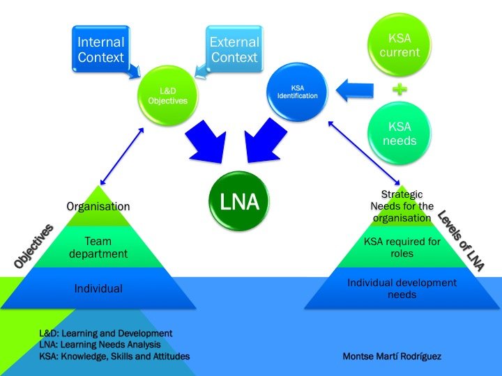 learning needs analysis case study