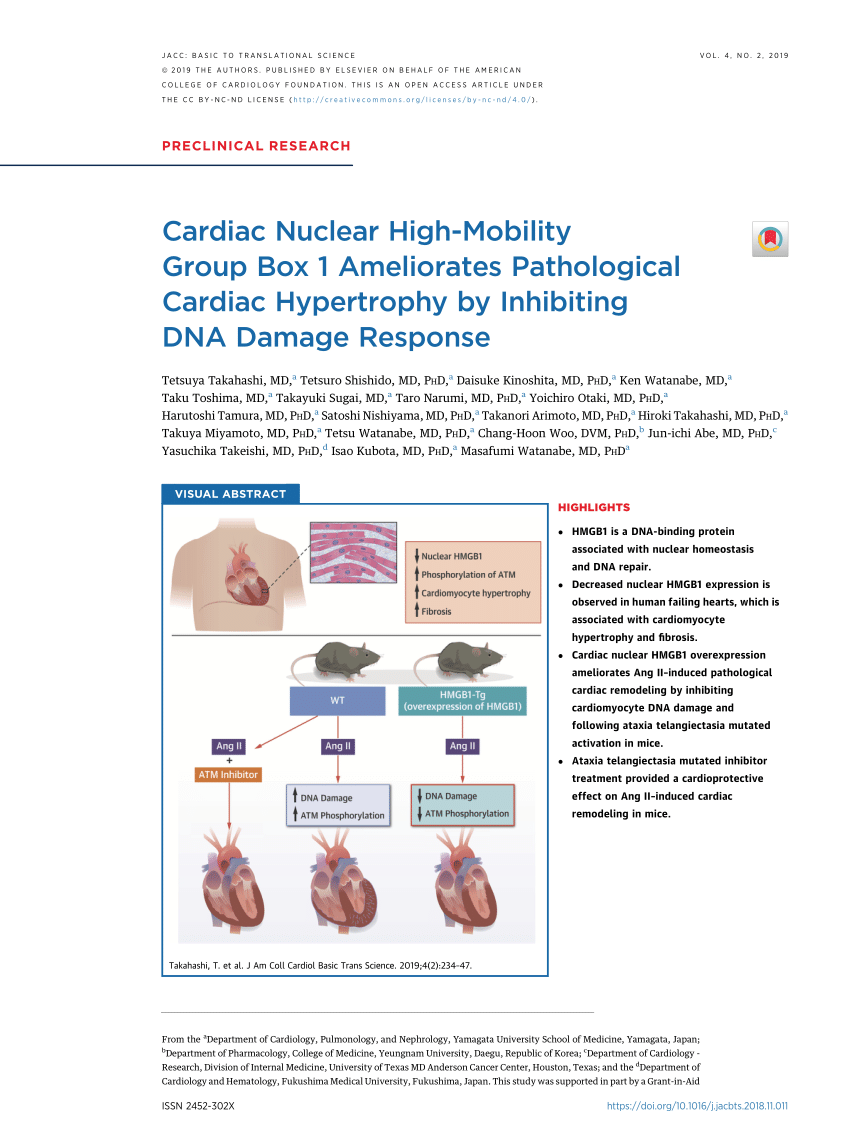 Pdf Cardiac Nuclear High Mobility Group Box 1 Ameliorates Pathological Cardiac Hypertrophy By Inhibiting Dna Damage Response