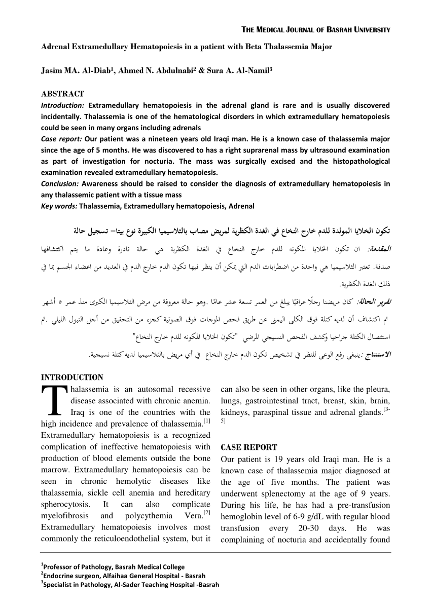 Pdf Adrenal Extramedullary Hematopoiesis In A Patient With Beta Thalassemia Major