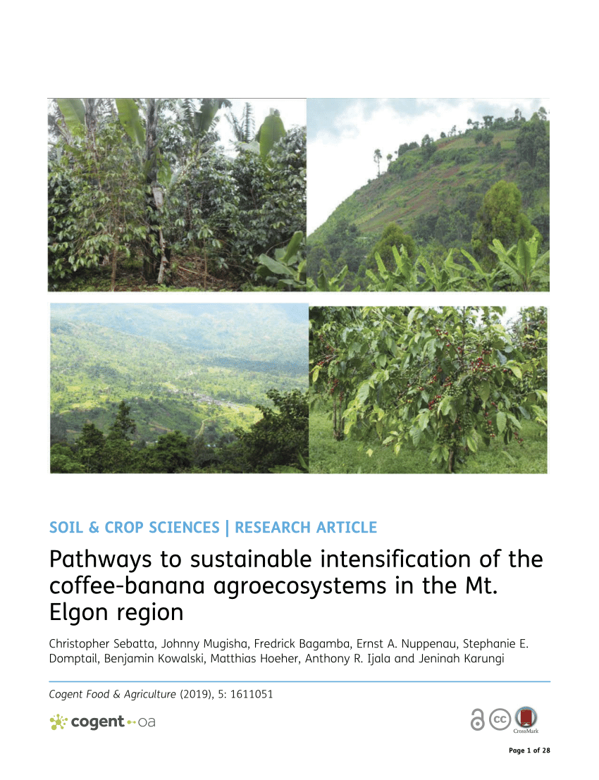 Frontiers  A review of the indigenous coffee resources of Uganda and their  potential for coffee sector sustainability and development