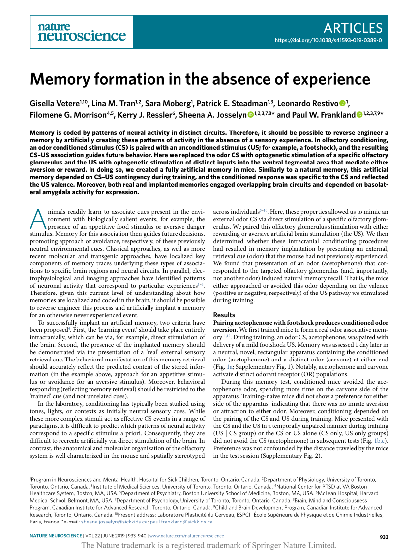 essay on memory formation