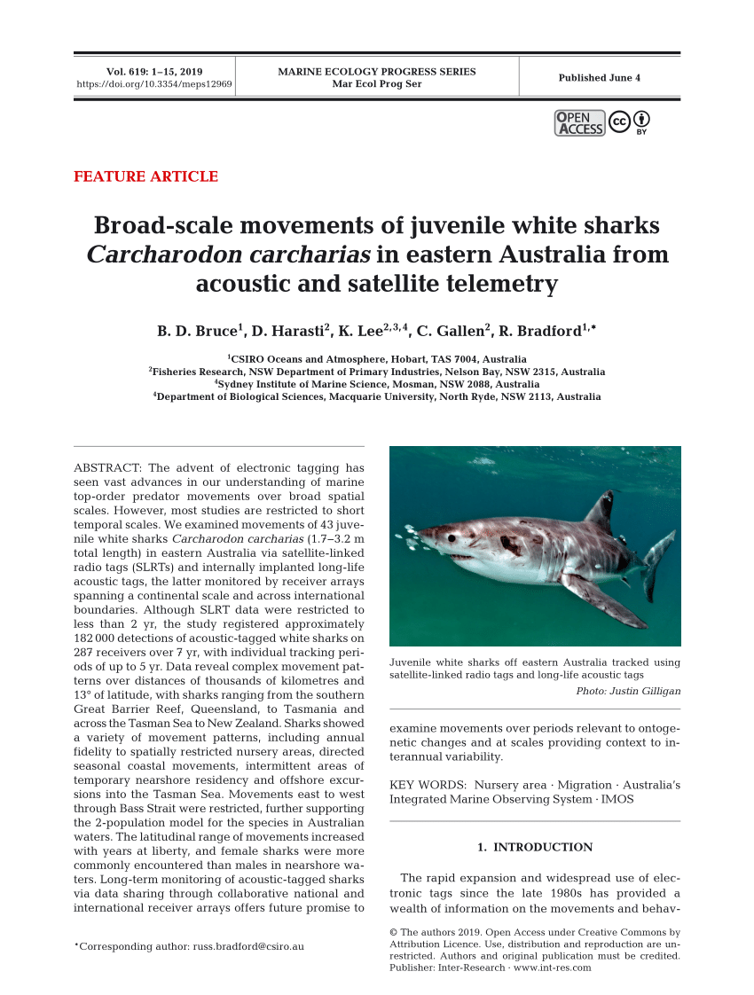 Pdf Broad Scale Movements Of Juvenile White Sharks Carcharodon Carcharias In Eastern Australia From Acoustic And Satellite Telemetry