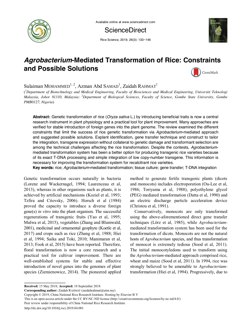 Pdf Agrobacterium Mediated Transformation Of Rice Constraints And Possible Solutions