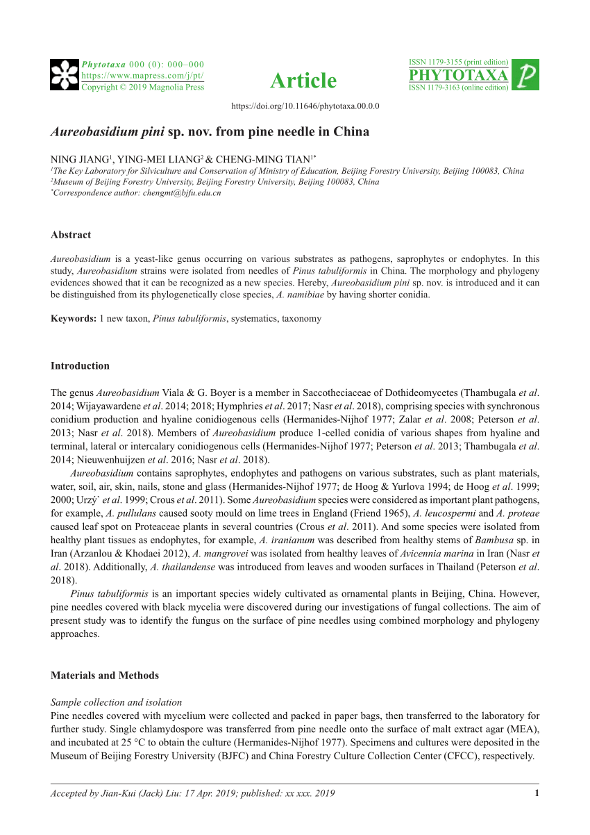 PDF) Aureobasidium pini sp. nov. from pine needle in China