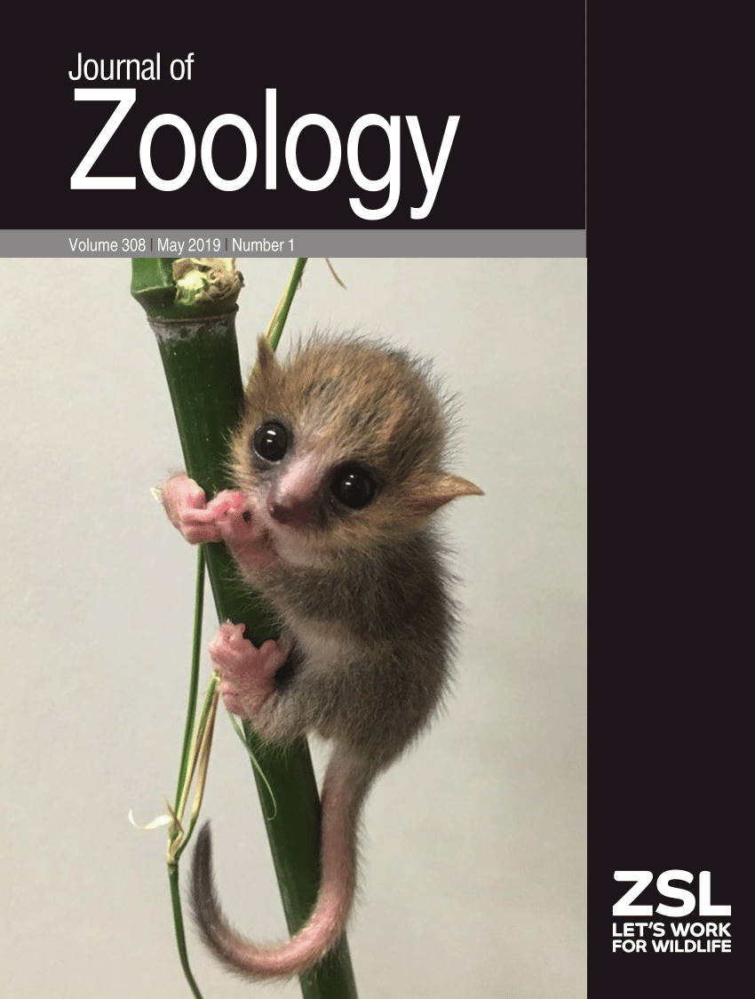 Pdf Journal Of Zoology Volume 308 May 2019 - 