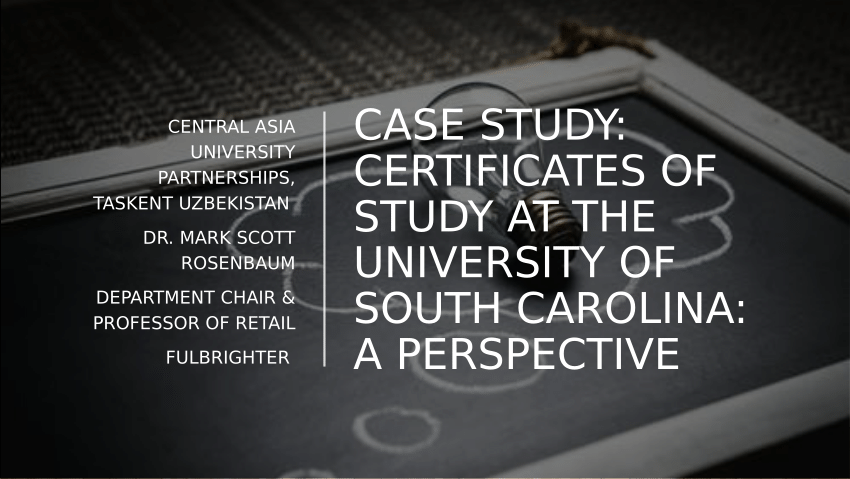 university of south carolina doctoral dissertation