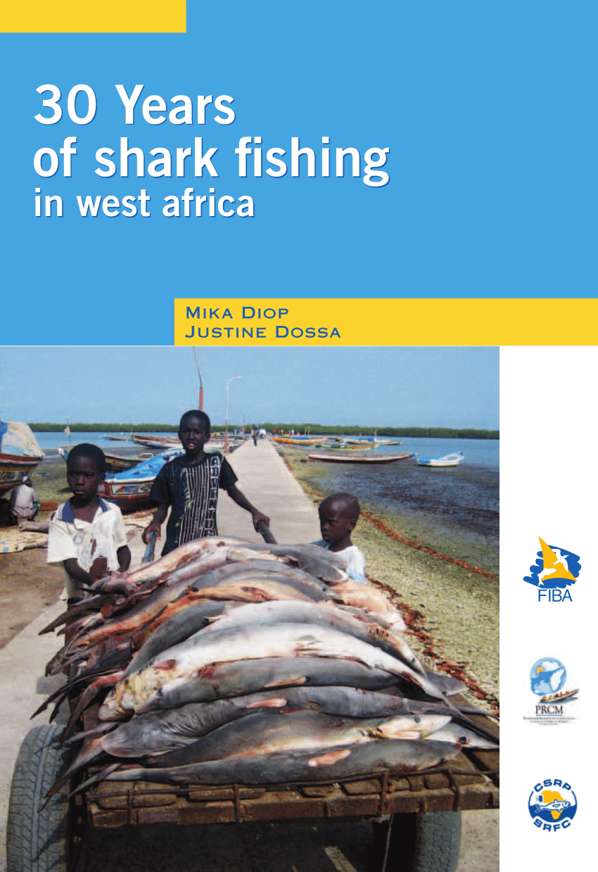 PDF) 30 Years of shark fishing in west africa 30 years of shark fishing in  West Africa