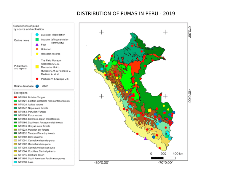 (PDF) Distribution of puma concolor in Peru