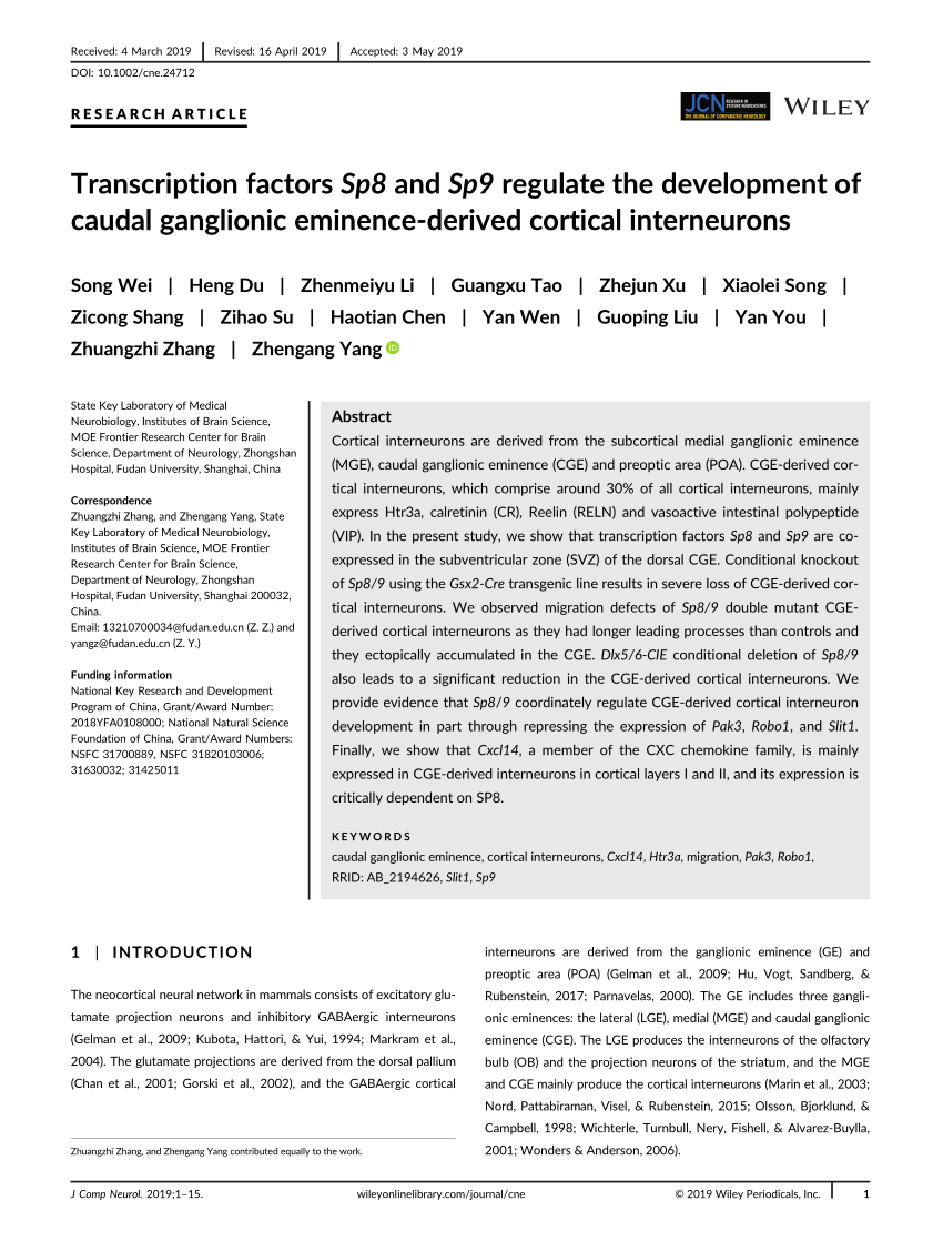 PDF) Transcription Factors Sp8 and Sp9 Regulate the Development of 