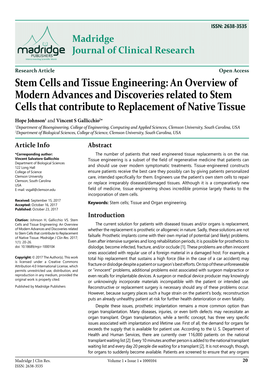 research articles related to stem cells