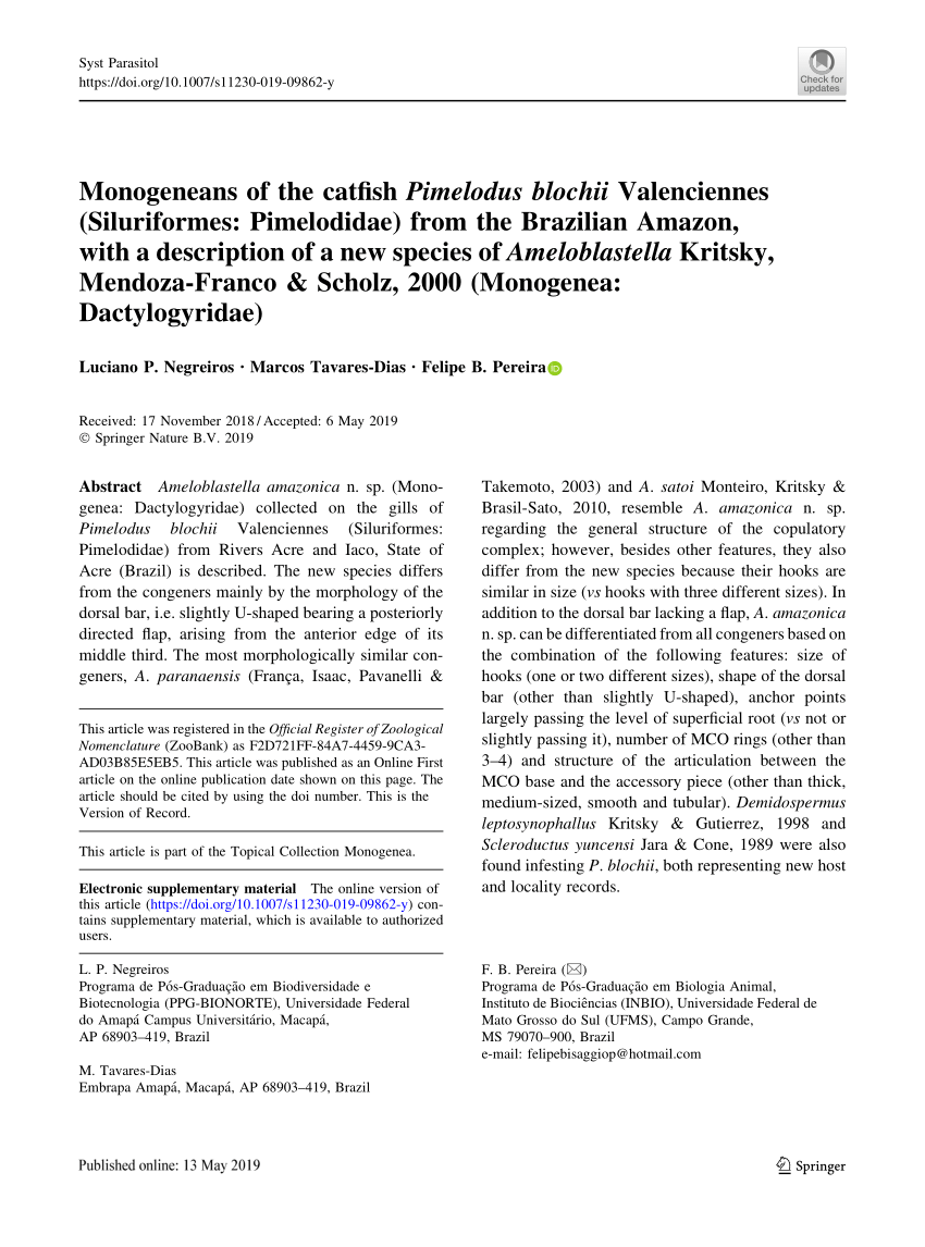 Pdf Monogeneans Of The Catfish Pimelodus Blochii Valenciennes Siluriformes Pimelodidae From The Brazilian Amazon With A Description Of A New Species Of Ameloblastella Kritsky Mendoza Franco Scholz 00 Monogenea Dactylogyridae