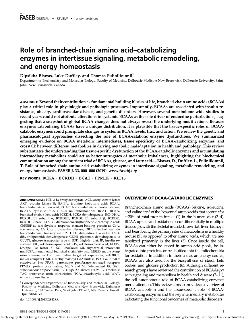 Pdf Role Of Branched Chain Amino Acid Catabolizing Enzymes In