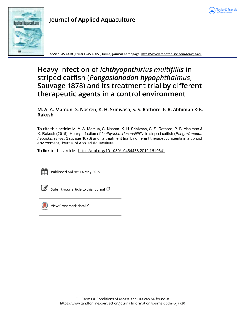 Pdf Heavy Infection Of Ichthyophthirius Multifiliis In Striped Catfish Pangasianodon Hypophthalmus Sauvage 1878 And Its Treatment Trial By Different Therapeutic Agents In A Control Environment
