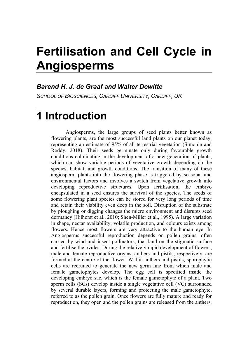 Pdf Fertilisation And Cell Cycle In Angiosperms