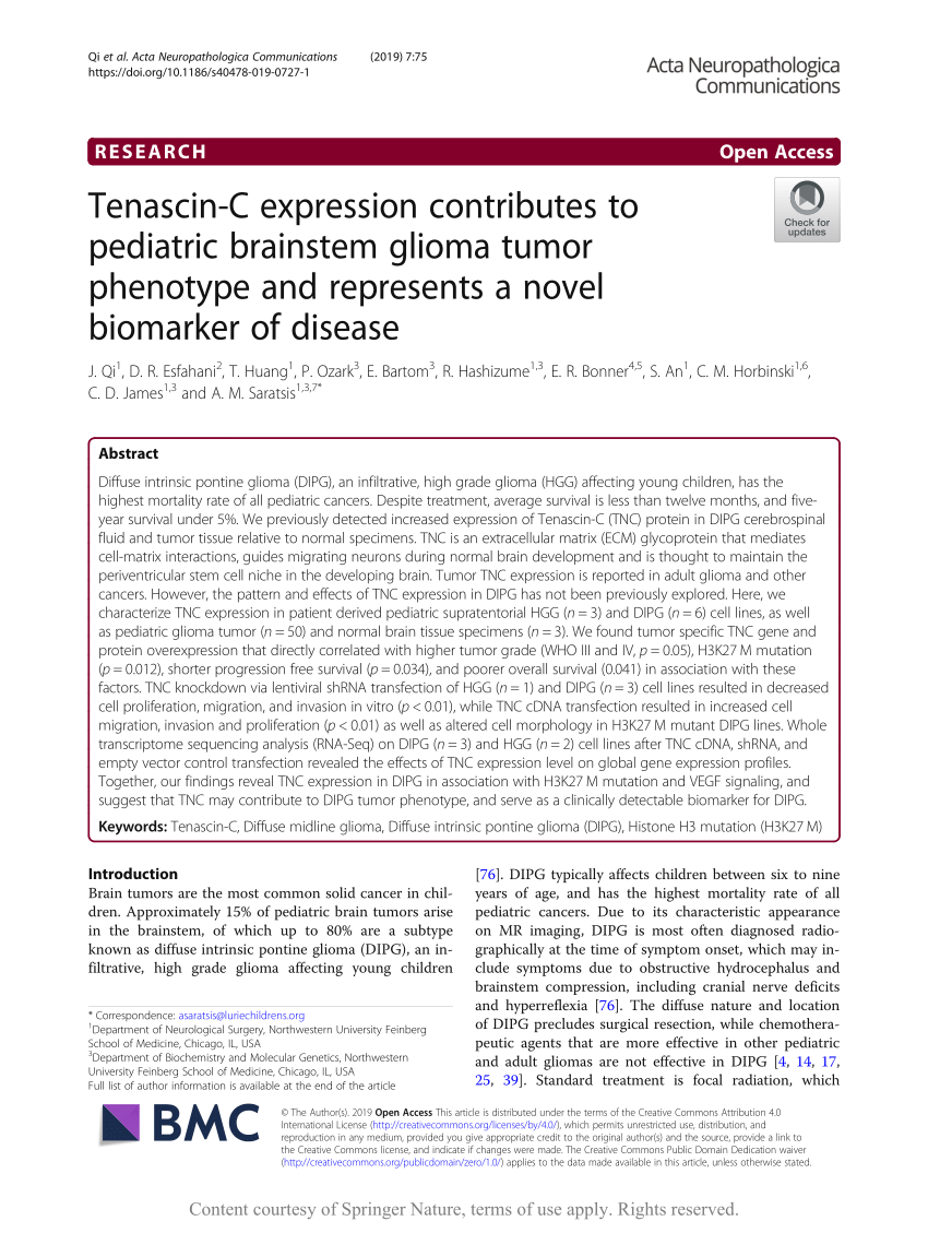 PDF) Tenascin-C expression contributes to pediatric brainstem