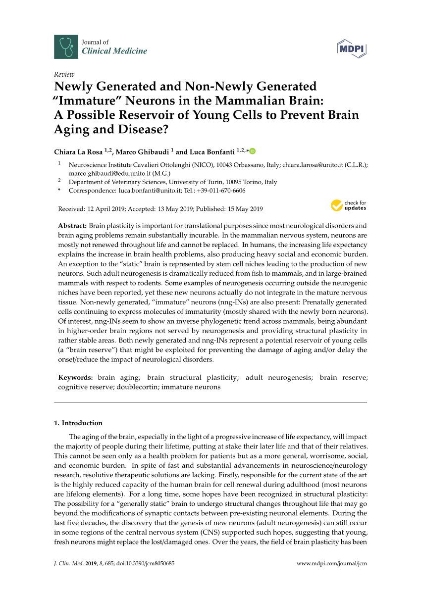 (PDF) Newly Generated and Non-Newly Generated “Immature” Neurons in the