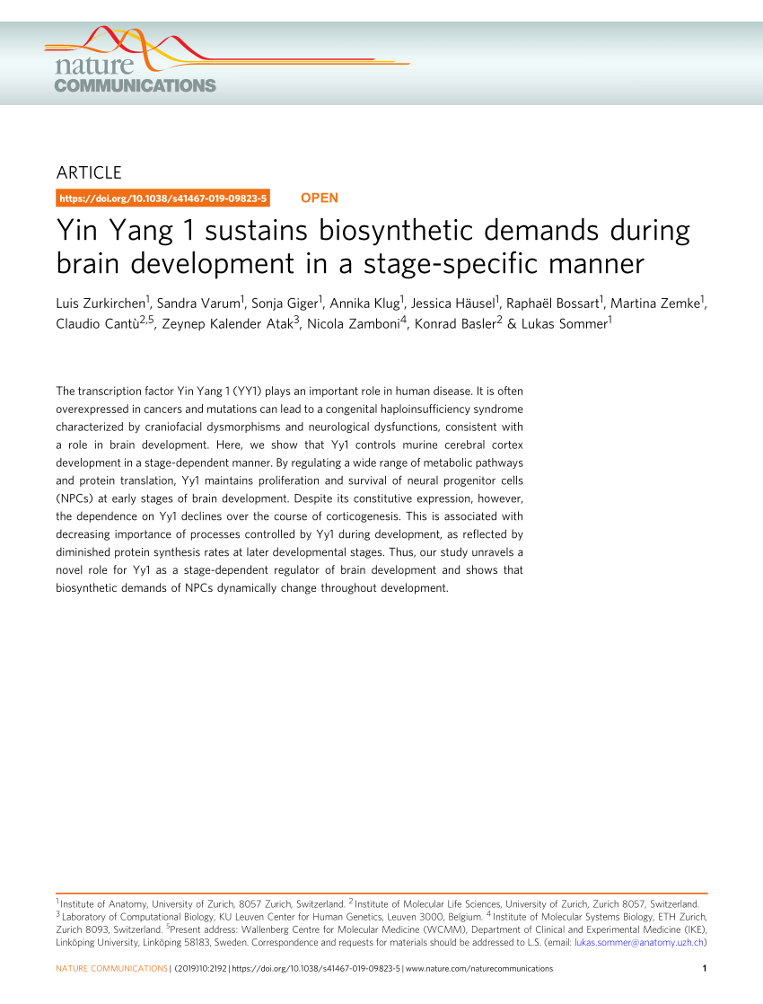 Pdf Yin Yang 1 Sustains Biosynthetic Demands During Brain Development In A Stage Specific Manner