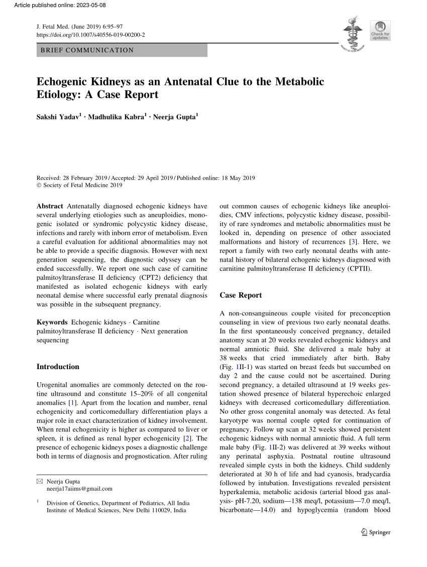 (PDF) Echogenic Kidneys as an Antenatal Clue to the Metabolic Etiology