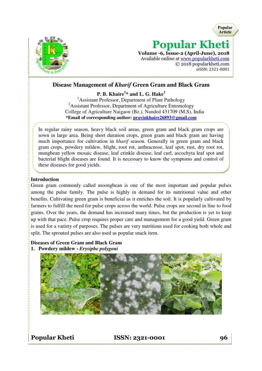 research paper of green gram