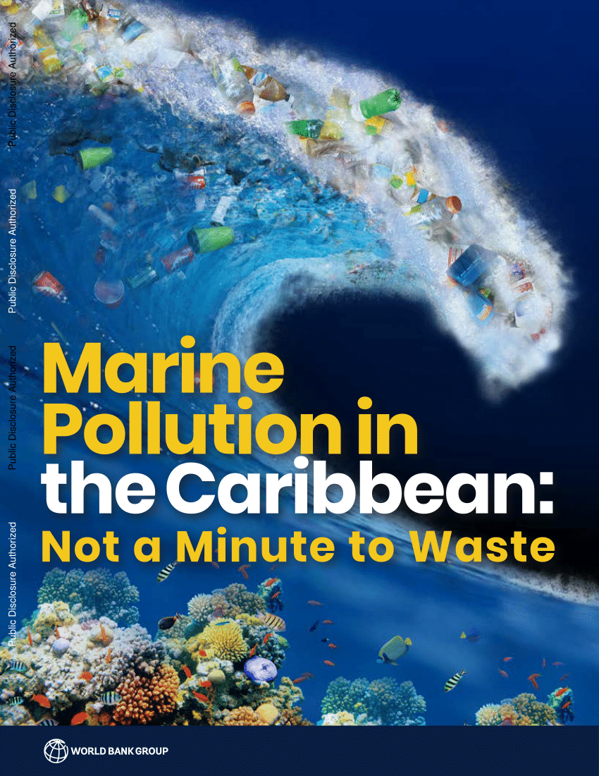 PDF) Marine Pollution in the Caribbean: Not a Minute to Waste