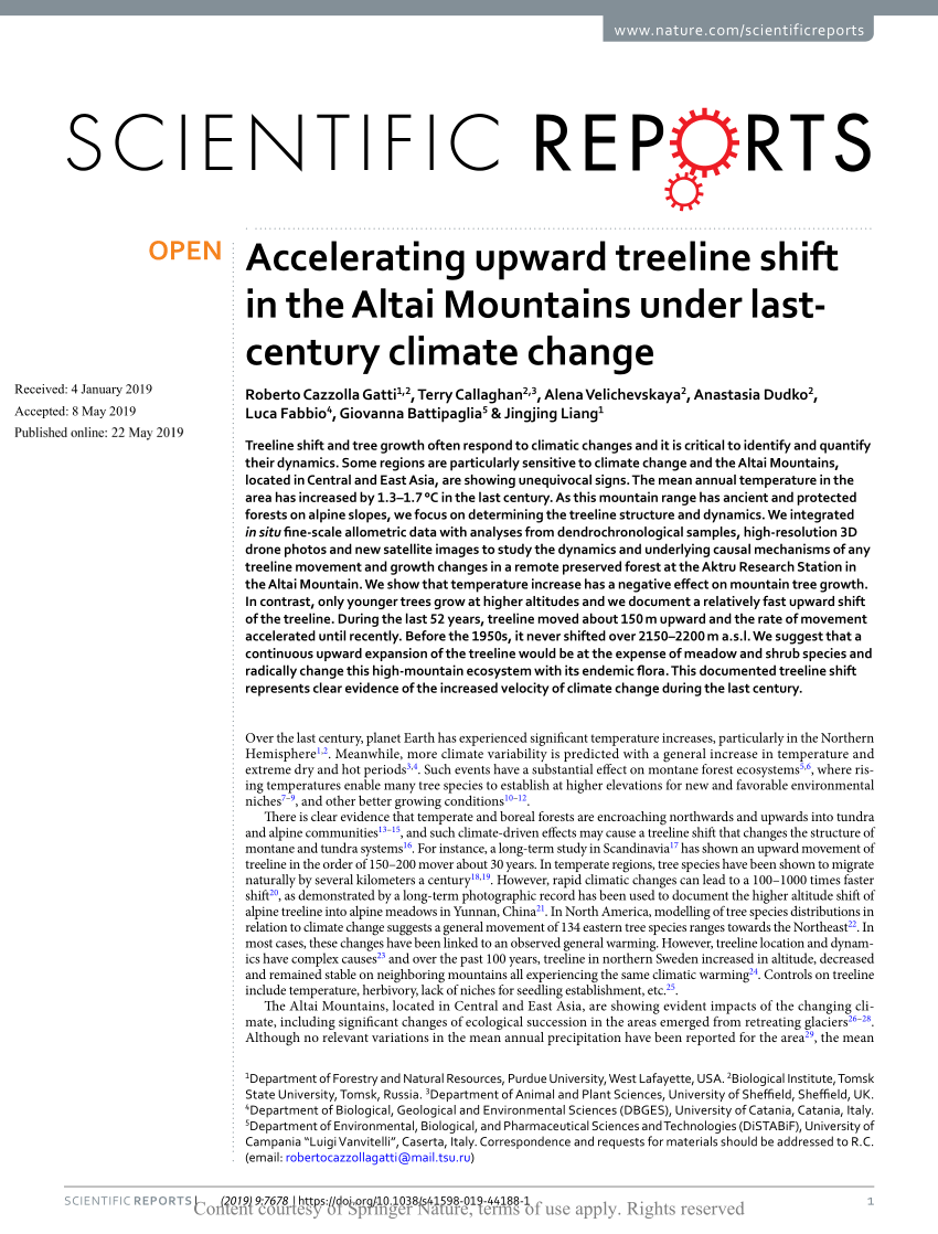 New Report: Treeline Monitoring in the San Juan Basin Tundra