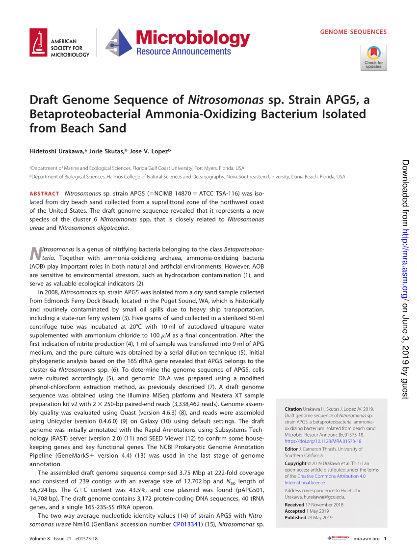 Pdf Draft Genome Sequence Of Nitrosomonas Sp Strain Apg5 A Betaproteobacterial Ammonia 2497