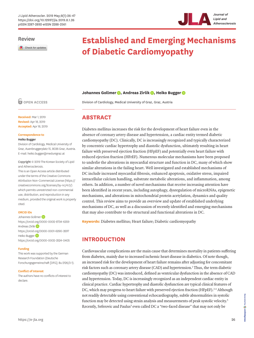 diabetic cardiomyopathy research paper