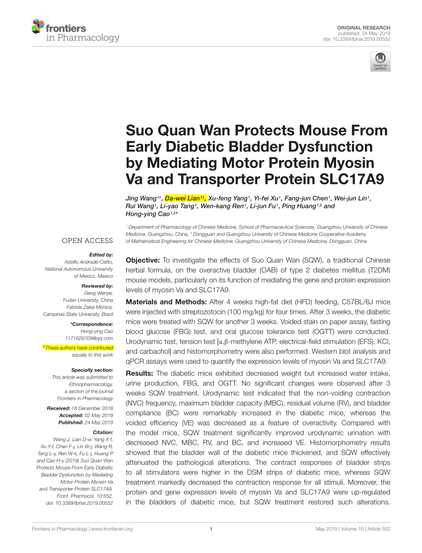 (PDF) Suo Quan Wan Protects Mouse From Early Diabetic Bladder