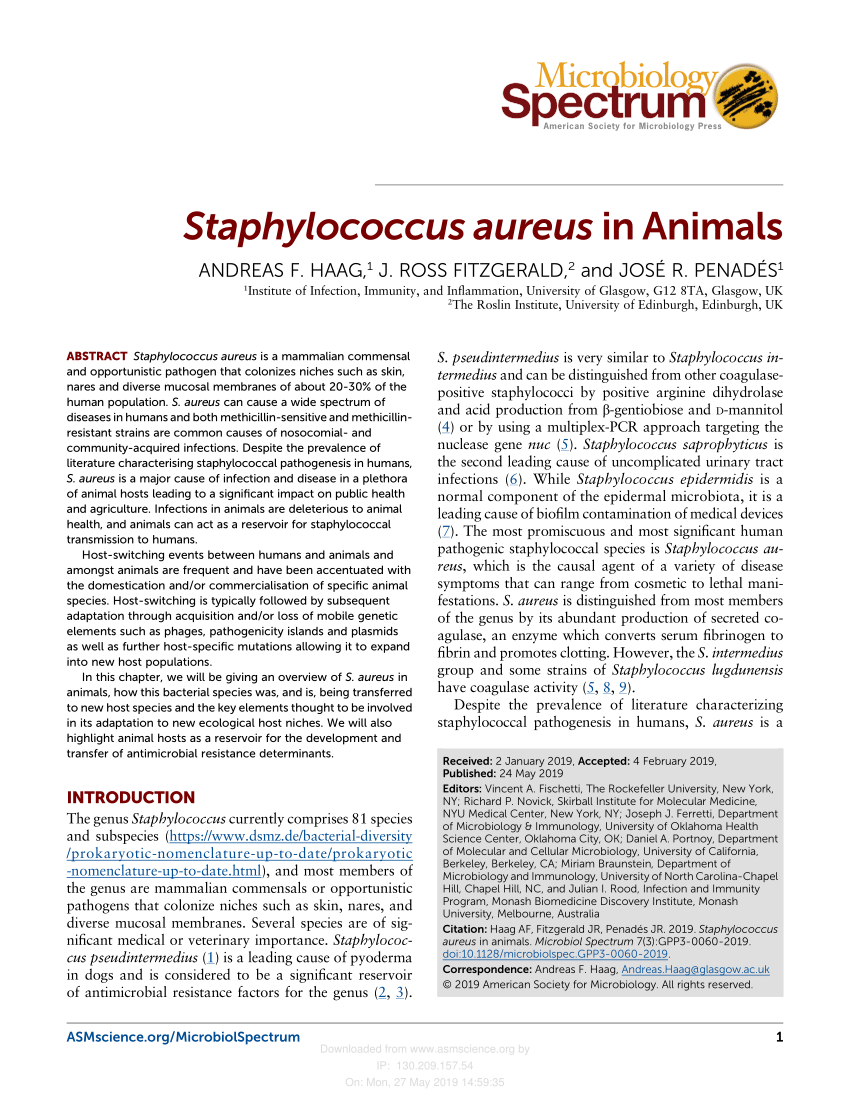 PDF) Staphylococcus aureus in Animals