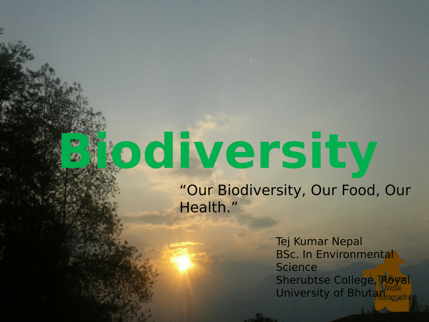 assignment on biodiversity pdf