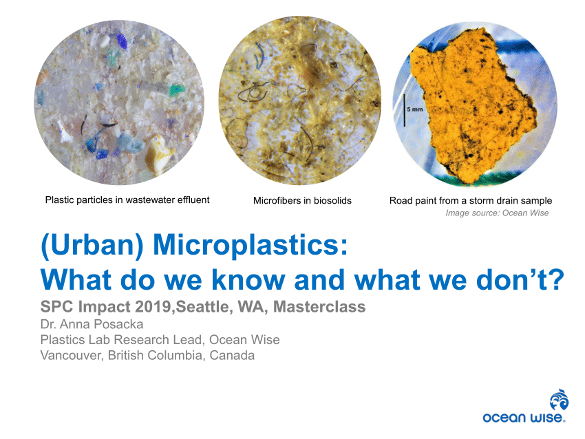 (PDF) Microplastics Masterclass for Sustainable Packaging Coalition