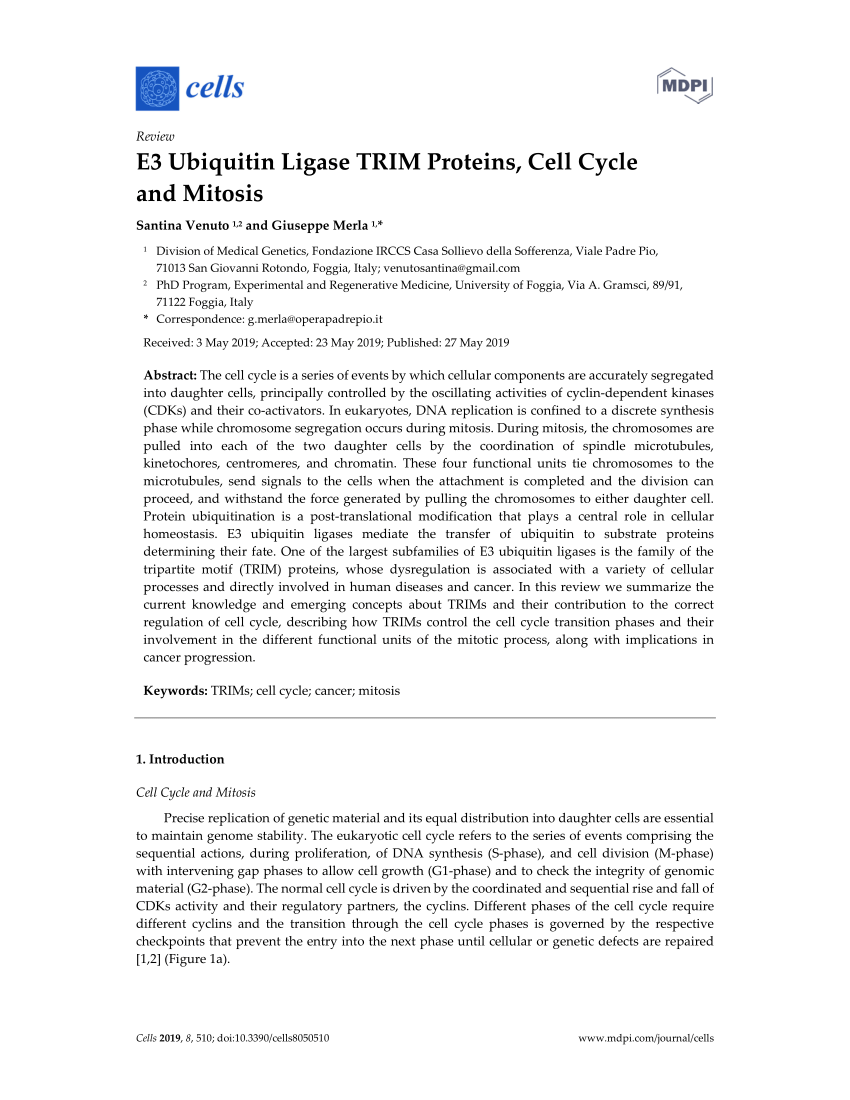 PDF) E3 Ubiquitin Ligase TRIM Proteins, Cell Cycle and Mitosis